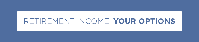 Download the income options document